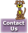 Contact you dirty dog, Mobile dog grooming and cat grooming services