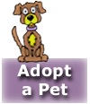 adopt a pet!